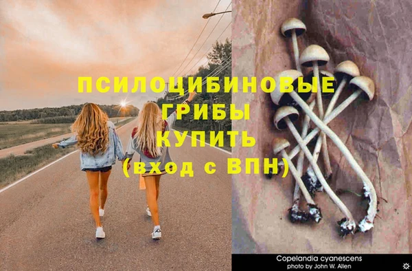 ALPHA-PVP Алзамай