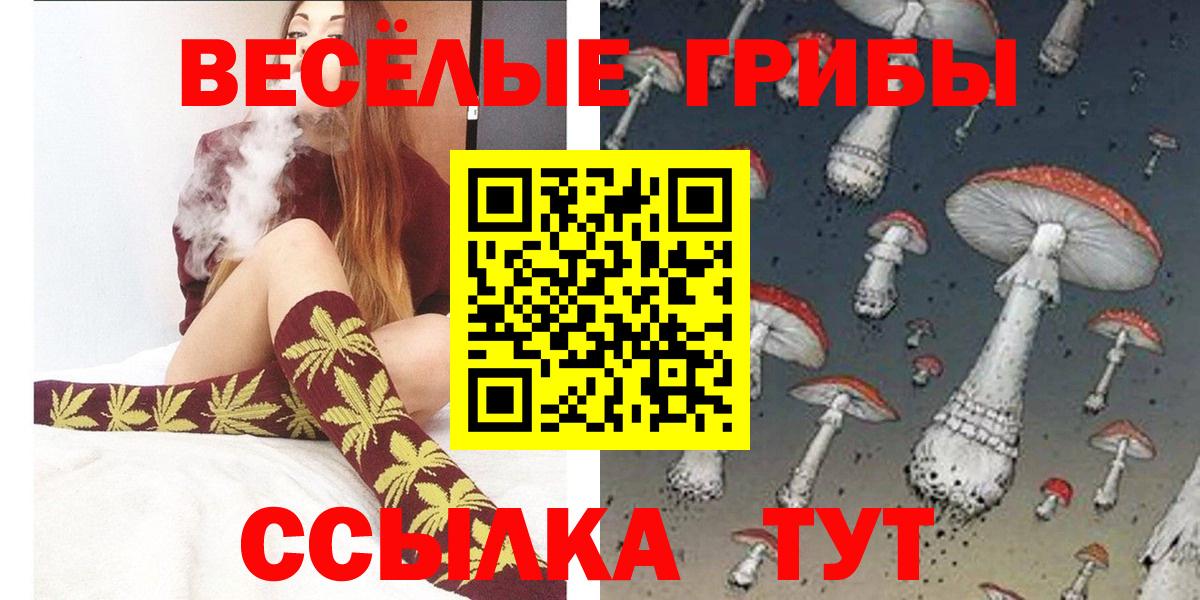 Псилоцибиновые грибы Cubensis Усинск